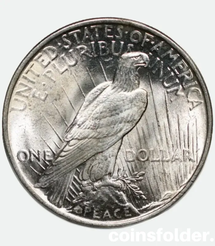 1923 Peace Silver Dollar from Philadelphia Mint in BU condition